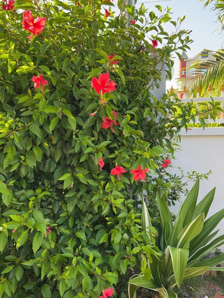 Faith'S Villa Tobago Diamond Eksteriør bilde